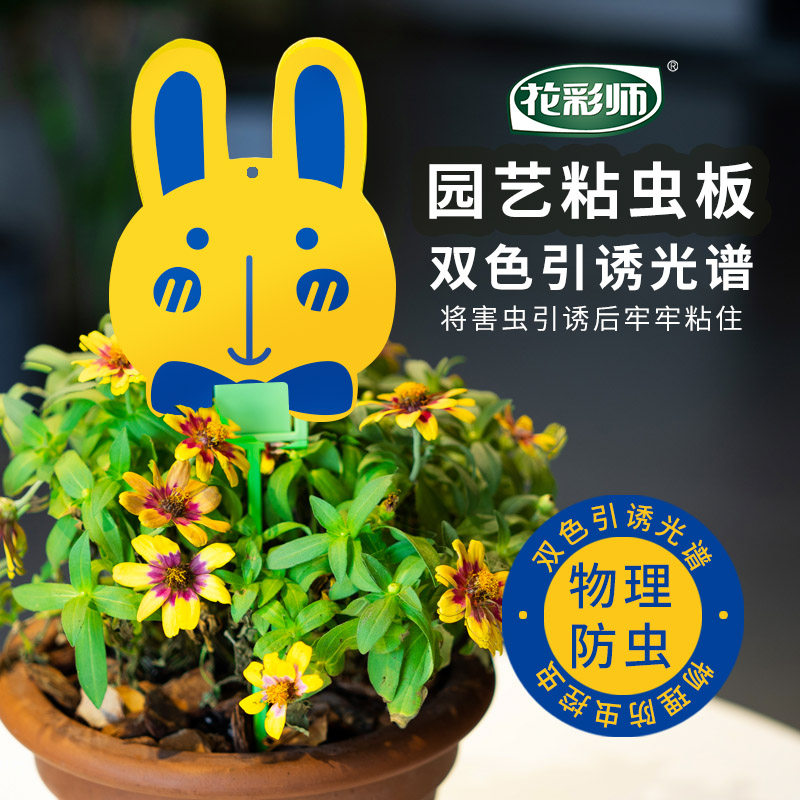 虹越花彩师粘虫板黄板蓝板捕虫物理防虫小黑飞杀虫蚜虫蓟马诱虫板