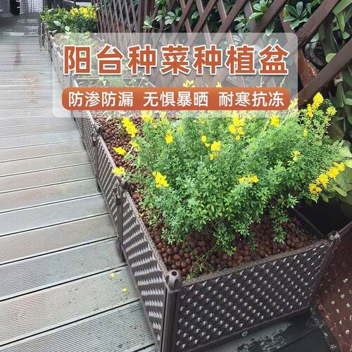 蔬菜种植盆加大加厚塑料田园