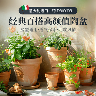 虹越进口花盆粗陶盆家用多肉陶瓷盆绿植花卉盆栽阳台庭院大号花箱