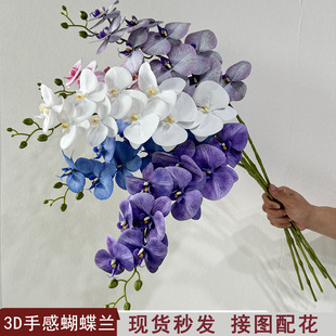 九头蝴蝶兰真花3D手感花婚礼堂摆件花束婚庆装饰兰花假花人造花
