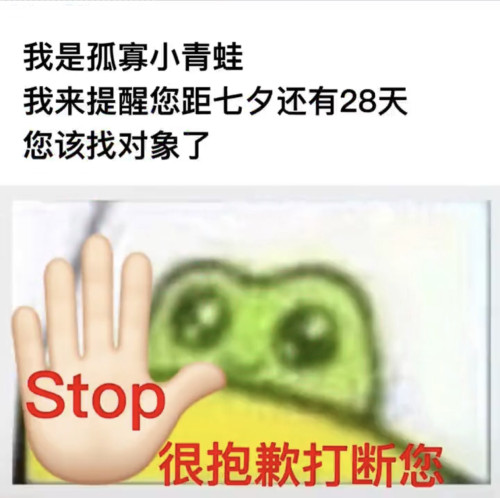 勤奋青蛙闺蜜兄弟抖音同款七夕