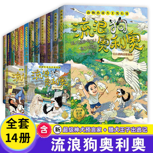 守护黑夜骑手 流浪狗奥利奥 二重唱来自星星 吉他上 眼睛动物小说大王沈石溪力作小学生课外阅读书籍黄金配角大逆袭 全套14册