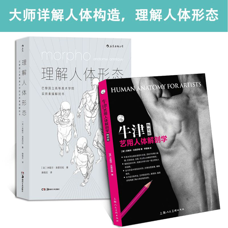 正版套装2册 理解人体形态+新版牛津艺用人体解剖学 绘画理论素描速写 人体形态素描速写集 人体构造透视构图讲解百科教程教材书籍