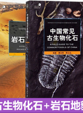 【任选】好奇心书系 2册中国常见古生物化石+岩石与地貌 如何寻找化石 化石的收藏与保管 常见化石准确了解野外常见岩石的识别方法