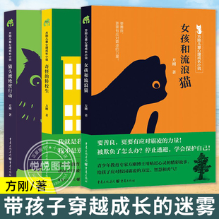方刚儿童心理成长绘本小说3册 猫头鹰绝密行动女孩和流浪猫奇怪的转校生小学生心理健康儿童文学励志故事校园霸凌友谊