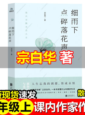细雨下点碎落花声细雨下点碎落花生宗白华著六年级上册必读的课外书课内作家作品系列北京联合出版社正版书籍小学生三四五六年级