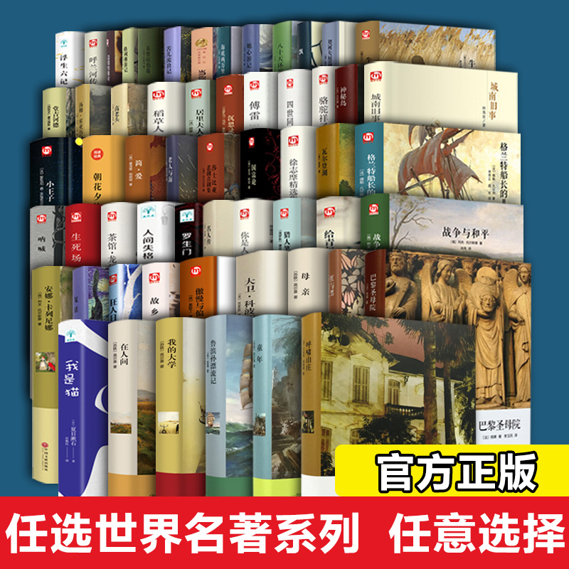 【任选世界名著系列翰墨怡香】呼兰河传 四世同堂 国富论 朝花夕拾 在人间 生死场 格兰特船长的儿女 神秘岛 我的大学课外文学书籍