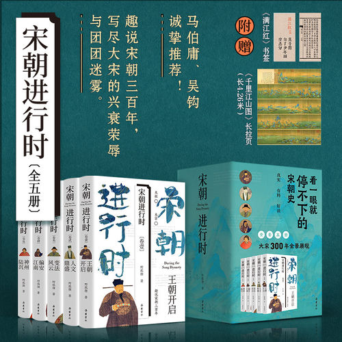 宋朝进行时 （五部曲 ）王朝开启 人文鼎盛 变法风云 偏安江南 神州陆沉 宋朝历史故事书籍 趣说宋朝三百年.开创盛世卷  岳麓书社
