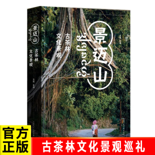 古茶林文化景观巡礼左靖 文化景观 上海人民美术出版 社 书籍景迈山 全方位解析全球茶文化世界遗产景迈山 正版