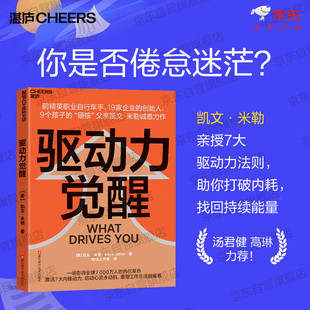 驱动力觉醒 凯文·米勒 19家企业的创始人 一场影响全球7000万人的内在革命激活7大内核动力 ,重塑工作生活能量场 个人励志书籍