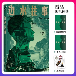 边水往事 亲身经历 沈星星著郭麒麟吴镇宇主演 自身 现代纪实报告文学随笔书籍 原著同名小说 官方正版