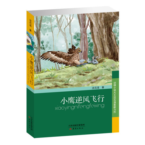 动物小说大王沈石溪新作 小鹰逆风飞行 沈石溪中小学生课外书6-12周岁三四五六年级7-9-10-12-14岁儿童读物 正版畅销书籍