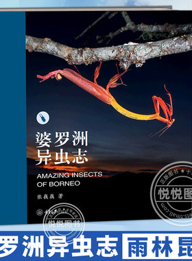 【正版包邮】婆罗洲异虫志玩虫子: 从入门到疯狂，你只差这一本书100 个雨林昆虫的小故事，配合独家原创生态照片婆罗洲原始雨林