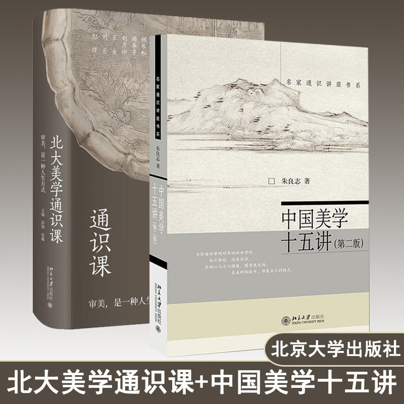 中国美学十五讲+ 北大美学通识课 朱良志 彭锋 讲座实录 附赠课堂视频 中国古代佛教艺术欣赏敦煌艺术中国美术史 宋代诗词自然观照