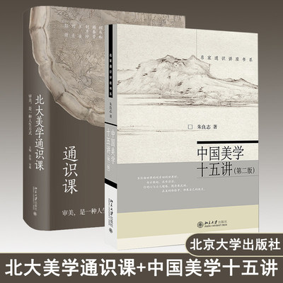 中国美学十五讲+ 北大美学通识课 朱良志 彭锋 讲座实录 附赠课堂视频 中国古代佛教艺术欣赏敦煌艺术中国美术史 宋代诗词自然观照