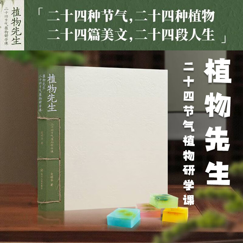 植物先生(1+2) 二十四节气植物研学课 袁明华著【赠手工版画+邮票+时食版画+信笺 】标本纸页艺术收藏品 植物绘本课外科普图书书籍
