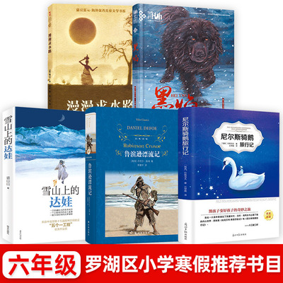 深圳市罗湖区小学六6年级下学期寒假阅读书目 全5册 雪山上的达娃漫漫求水路黑焰骑鹅旅行记鲁滨逊漂流记 小学生儿童文学读物