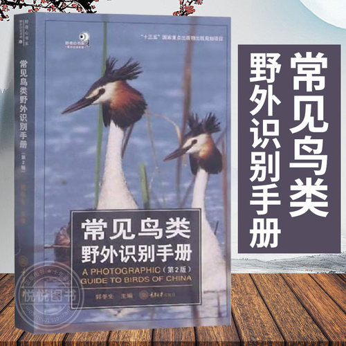 野生鸟类 图文并茂 富有收藏趣味
