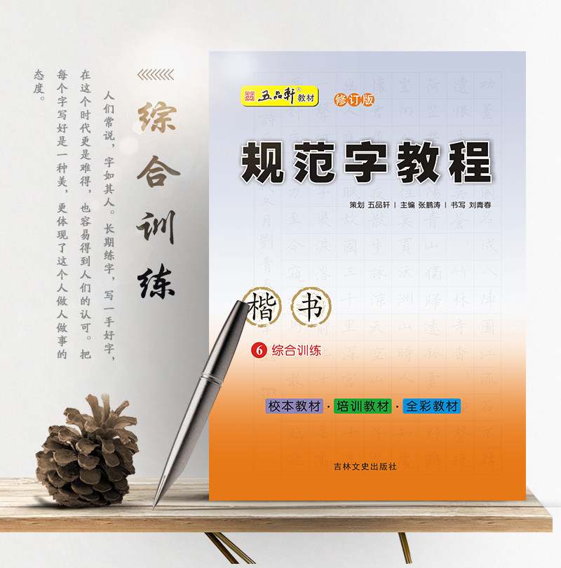 初高中小学生硬笔书法 规范汉字书写练字教程 钢笔铅笔字帖 刘青春
