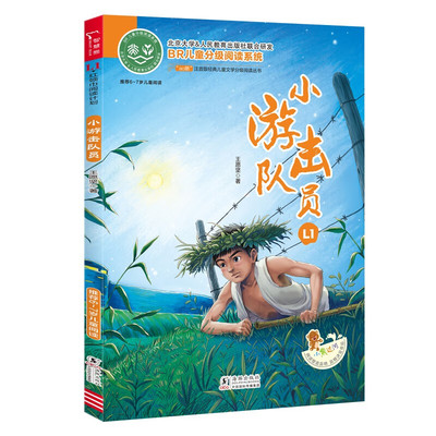 小游击队员王愿坚经典儿童文学