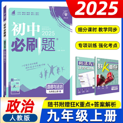 2024秋2025九年级人教初三政治