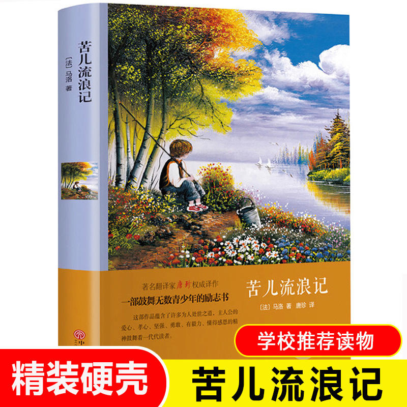 官方正版苦儿流浪记(精)青少版儿童书籍9-12岁名著10-15岁课外书籍小学生4-6年级儿童读物语文阅读经典儿童文学书籍