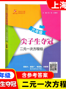 交大之星 尖子生夺冠 二元一次方程组 六年级 上海初中6年级数学专项训练 难度高讲解精 含参考答案 上海交通大学出版社