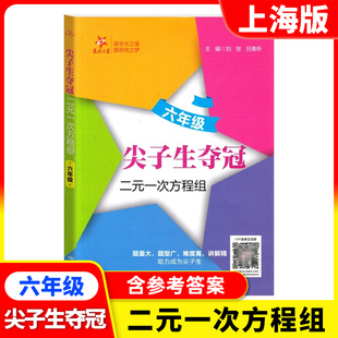 交大之星 尖子生夺冠 二元一次方程组 六年级 上海初中6年级数学专项训练 难度高讲解精 含参考答案 上海交通大学出版社