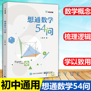 数学计算技巧 青少年数学思维训练 解题方法与技巧 初中通用二进制数怎么转换方程函数图形教程书籍 想通数学54问
