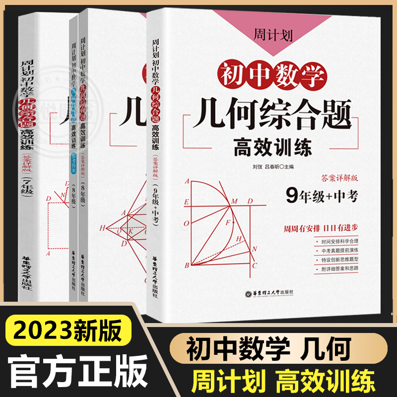 初中数学几何综合题高效训练 七八九年级789年级上下册刷代数题同步训练题库真题 初中初一二三几何练习册解题技巧同步作业练习题 书籍/杂志/报纸 中学教辅 原图主图