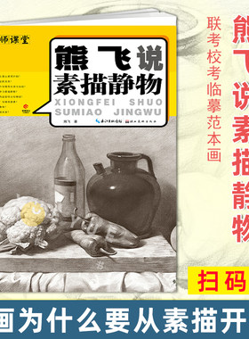 熊飞说素描静物 名师课堂 扫码版 速写技法结构联考校考临摹范本画册 初学者自学画画入门教程书籍素描书零基础艺考美术绘画图书籍