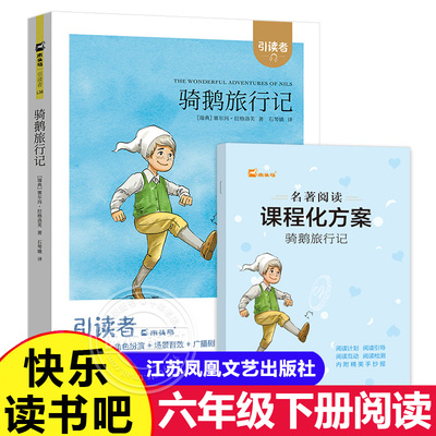 快乐读书吧6年级下册骑鹅旅行记