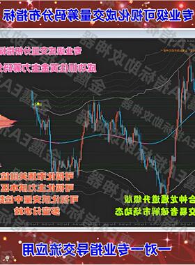 黄金外汇MT4指标可视化成交量分析VWAP捕捉主力筹码分布EA策略
