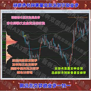 黄金外汇MT4指标可视化成交量分析VWAP捕捉主力筹码分布EA策略
