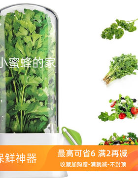 新鲜香菜保鲜盒葱花姜蒜保存器