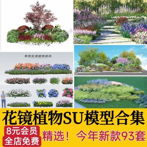 园林景观花镜花境植物配置地被花丛花草花卉草花组团搭配su模型库