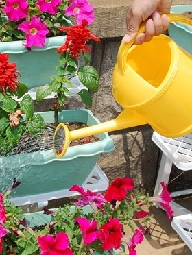 爱丽思洒水壶3.8升2.2升SHOWER-PT-38浇水壶浇花水壶喷水壶蓝色