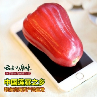 莲雾之乡海南新鲜黑金刚莲雾4斤装（11-15个）特及果