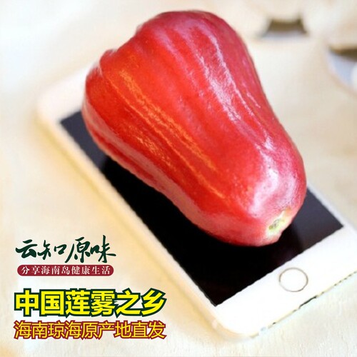 莲雾之乡海南新鲜黑金刚莲雾4斤装（11-15个）特及果