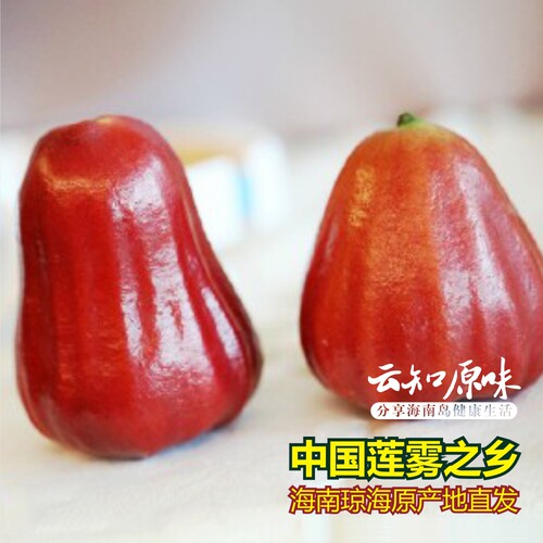 莲雾之乡海南新鲜黑金刚莲雾 4斤精装 一级果(16-18个) 空运包邮
