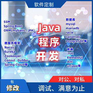 JAVA程序定制 网站小程序app开发 Spring Boot SSM VUE前后端分离