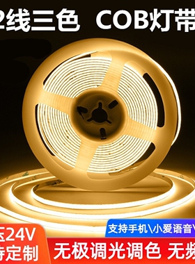 24V智能COB灯带低压三色变光客厅双眼皮线形灯家装悬浮吊顶线灯条