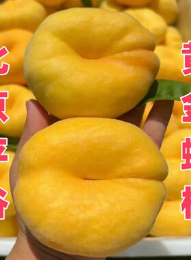 正宗北京平谷黄蟠桃子黄金蟠桃黄肉蟠桃扁桃应季新鲜水果礼盒顺丰