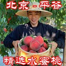 新鲜水果桃王竹篮顺丰 正宗北京水蜜桃子平谷大桃九号久保毛桃应季
