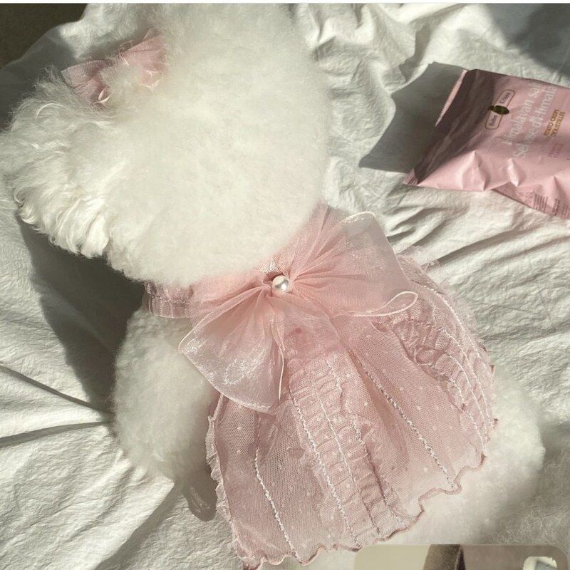 宠物衣服夏季薄款公主婚纱裙子泰迪博美比熊幼犬可爱猫咪服饰服装