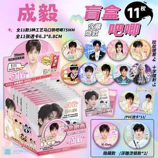 成毅周边AR夜光吧唧盲盒马口铁徽章75MM成毅吧唧谷子盲抽