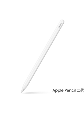 Apple/苹果pencil二代笔 绘画重力压感手写笔 磁吸充电连接平板笔