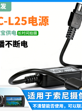 振发 适用于索尼摄像机AC-L200充电器FDR-AX700 AX40 AX60 AX45外接电源适配器USB电源线直播供电线ACL-L25