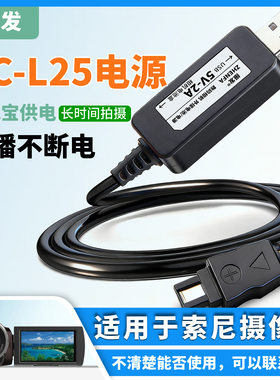 振发 适用索尼摄像机AC-L200电源适配器HDR-PJ670 PJ675 PJ820E外接USB充电器HDR-XR350 XR550 PJ790E PJ390