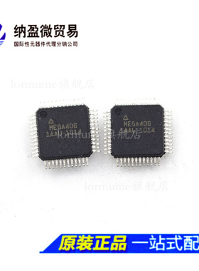ATMEGA406-1AAU ATMEGA406  QFP-48 电池管理控制器 全新原装